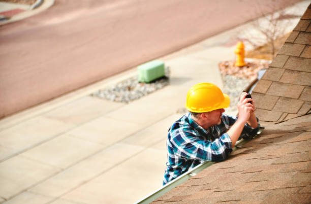 Best Roof Gutter Cleaning  in Muleshoe, TX